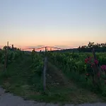 Agroturismo Cardo Boutique&wine *