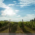 Vakantieboerderij Cardo Boutique&wine *