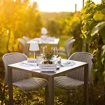Cardo Boutique&wine Agroturismo