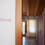 Cardo Boutique&wine Malchina