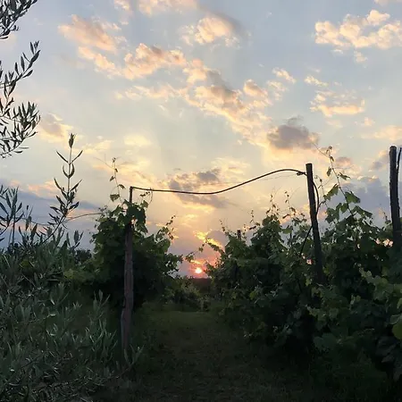 Gospodarstwo agroturystyczne Cardo Boutique&wine Malchina