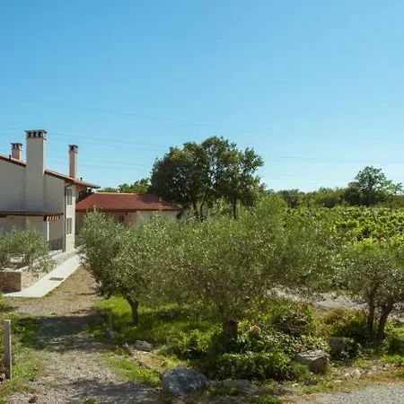 Cardo Boutique&wine Séjour à la ferme Malchina