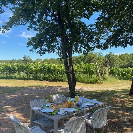 Gospodarstwo agroturystyczne Cardo Boutique&wine