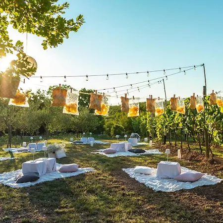 Farma Cardo Boutique&wine