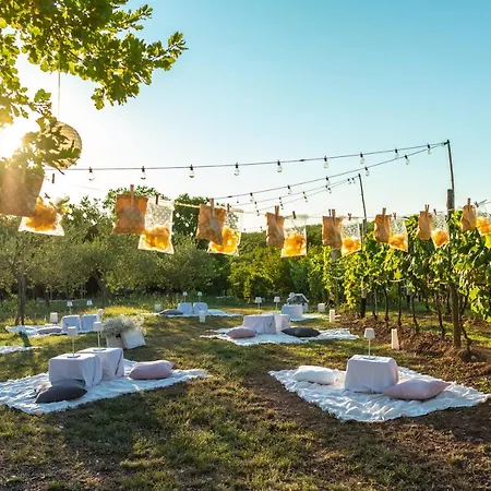 Gospodarstwo agroturystyczne Cardo Boutique&wine