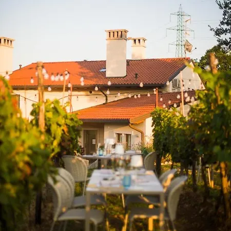 Farma Cardo Boutique&wine